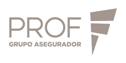 Grupo Prof